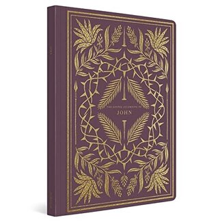 Crossway / Good News ESV Illuminated Scripture Journal: John