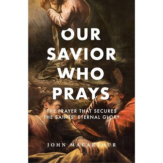 Our Savior Who Prays